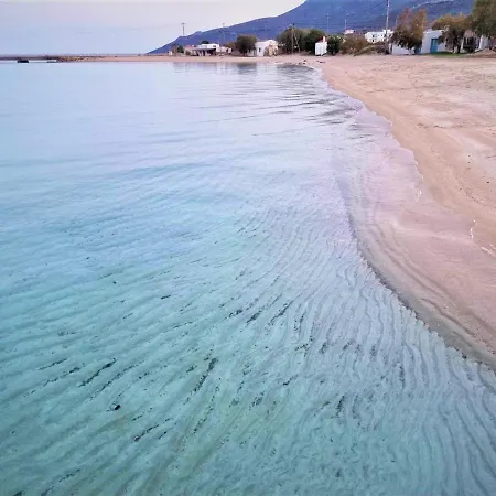 Meli Near Sea Side *